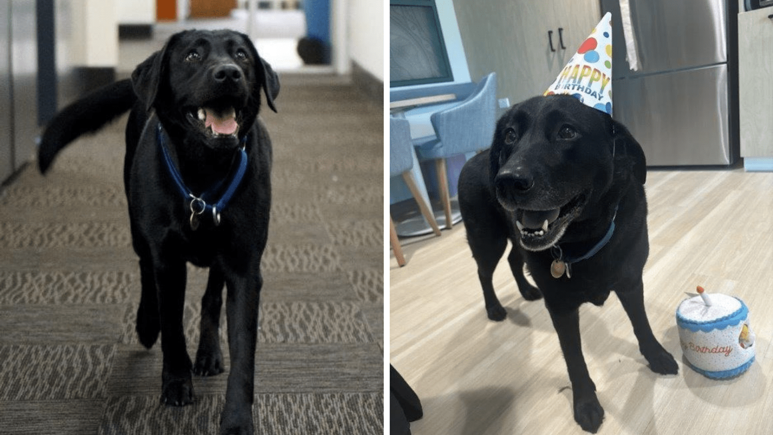 Kiki walking down a hallway and Kiki wearing a party hat to celebrate her birthday